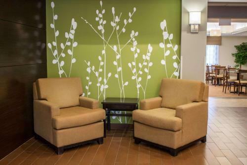 Hotel Sleep Inn & Suites Harbour Pointe Midlothian