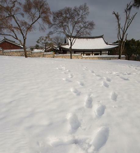 Jinju Gng Motel
