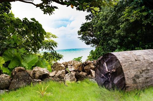 Hotel Alaise De Bale Ishigaki