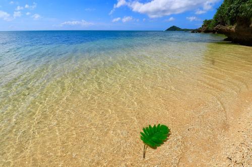 Hotel Alaise De Bale Ishigaki