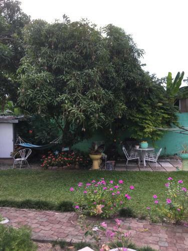 Hostal Havendale Studio Apartment