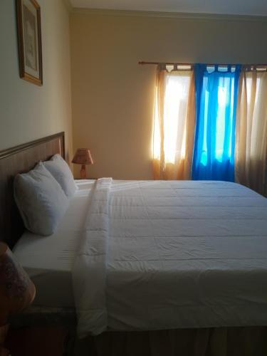 Hostal Paradise Place Guest Room