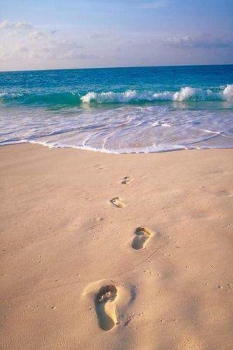 Charmant Villa Cr�ole Les Pieds Dans L'eau