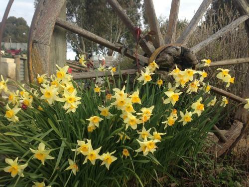Agroturismo Gumtree Farmstay