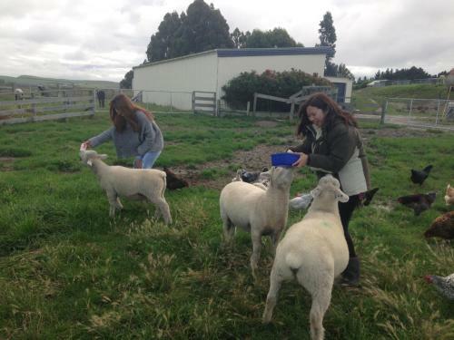 Agroturismo Gumtree Farmstay
