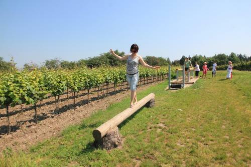Hostel Valtice