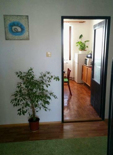 Apartm�n ??�r