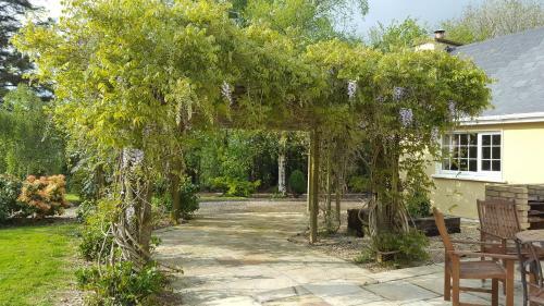 Bed & Breakfast Brookvale
