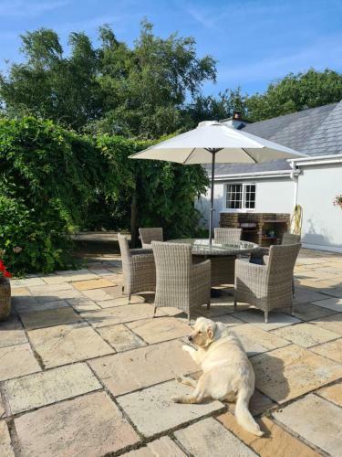 Bed & Breakfast Brookvale