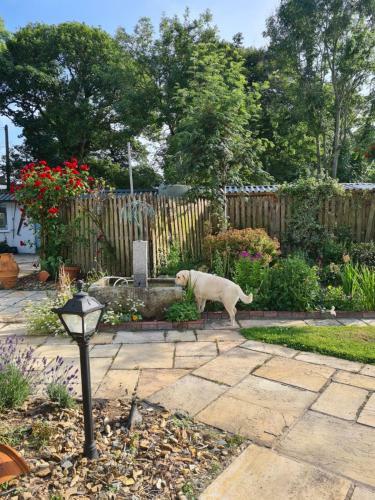 Bed & Breakfast Brookvale