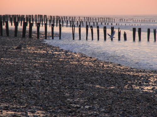Vvf Villages Bleriot Plage