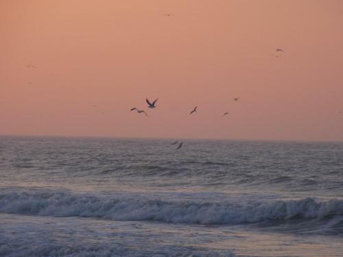 Vvf Villages Bleriot Plage