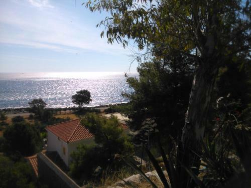 Apartamento Maviria