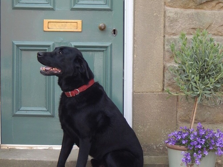 Bed & Breakfast Fern Bank