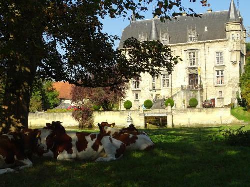 Vakantie Appartement Paedshof Ransdaal