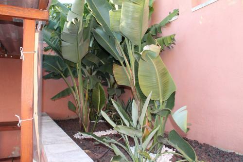 Casa Valverde