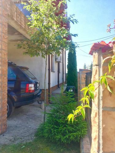 Casa De Vacanta Elena