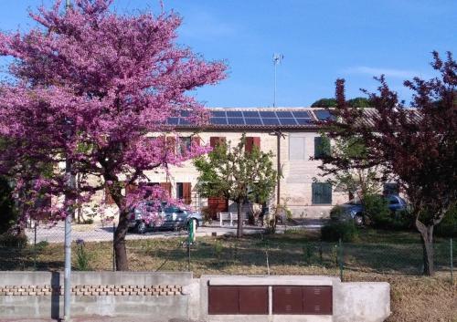 Bed & Breakfast Casa Sgaria