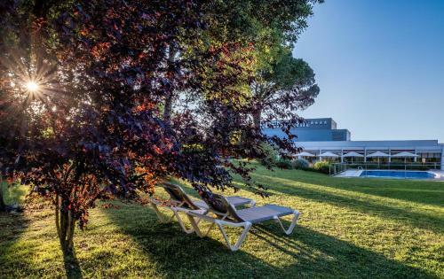Eden Park Hotel