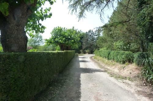 Domaine Moulin Thoulouzes
