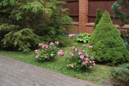 Hostal Diana Guest House