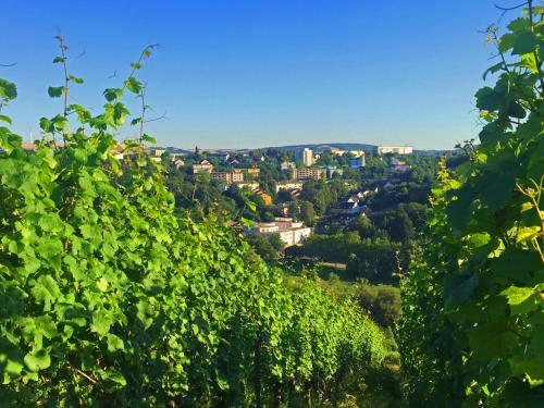 Schroeders Wein-style-hotel