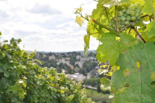 Schroeders Wein-style-hotel
