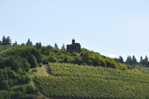Schroeders Wein-style-hotel