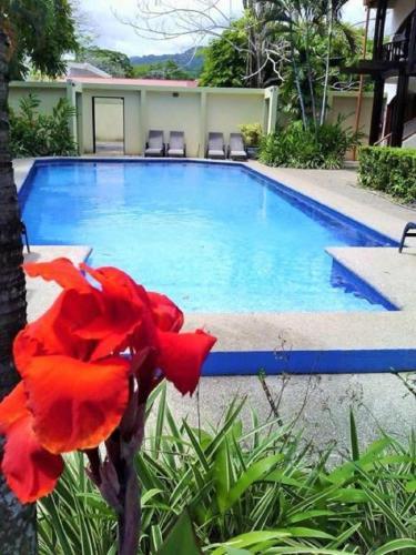 Aparthotel Apathotel Girasol