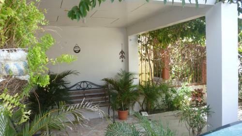 Paraiso Tropical