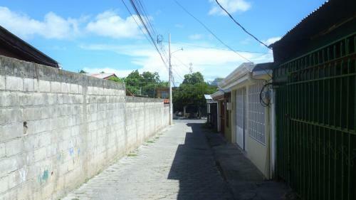 Paraiso Tropical