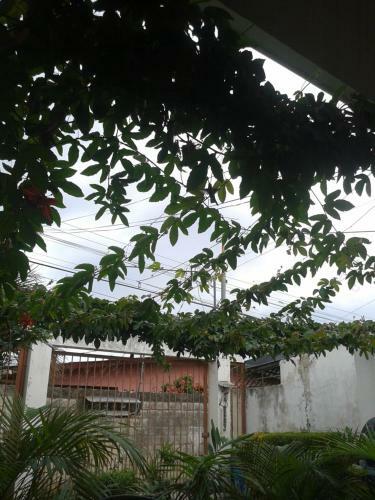 Paraiso Tropical