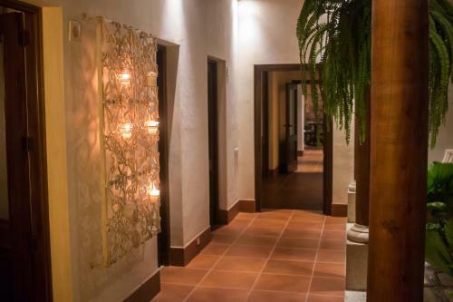 Bed & Breakfast Serendipity Boutique Hotel