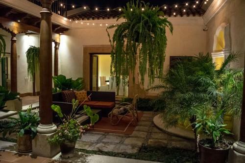 Bed & Breakfast Serendipity Boutique Hotel