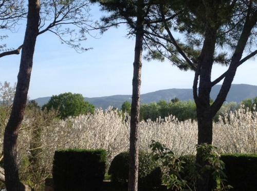 Bed & Breakfast Le Clos De Lucie