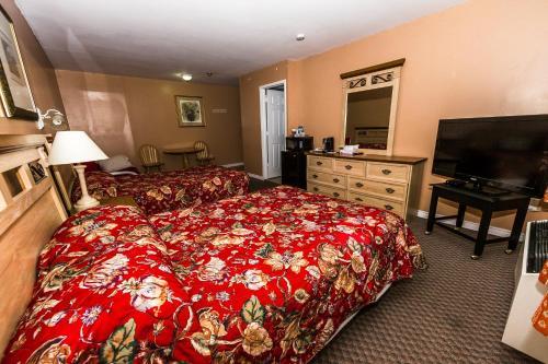 New Plaza Motel