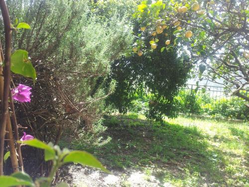 Bed & Breakfast La Terrazza Sui Fieschi