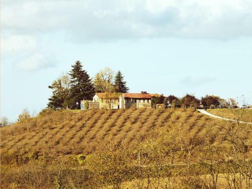 Agroturismo Cascina Langa