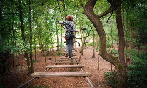 Lodge L'�tape En For�t