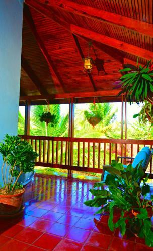 Bed & Breakfast Villa Celeste Estate