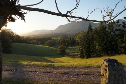 Bellingen Bed And Breakfast