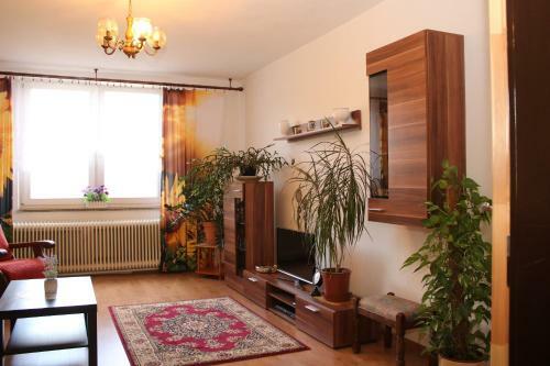 Apartamento Chalupa Boskovice