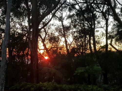 Agroturismo Buddha Cottage Springbrook