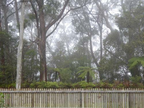 Agroturismo Buddha Cottage Springbrook