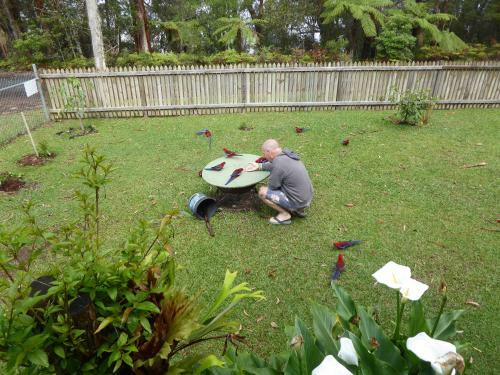 Agroturismo Buddha Cottage Springbrook
