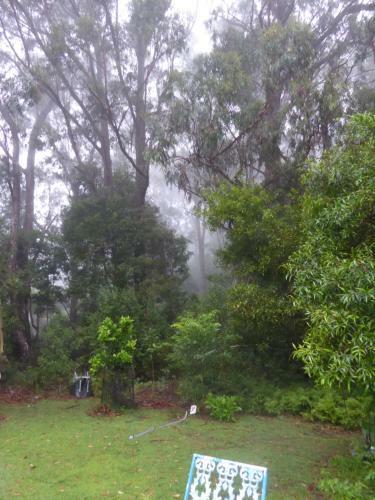 Agroturismo Buddha Cottage Springbrook