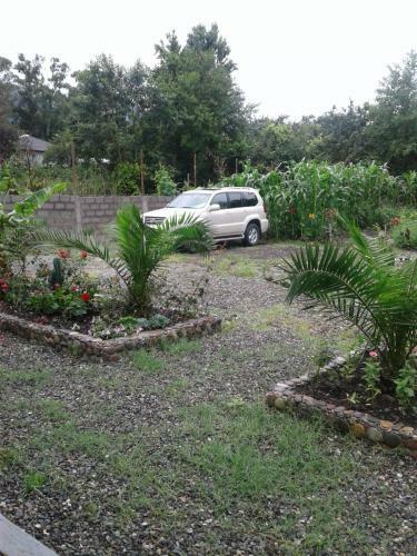 Hostal Gonio House