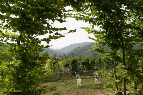 Hostal Hermitage St Roch