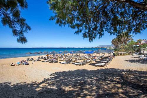 Apartamento Eden Beach Hotel