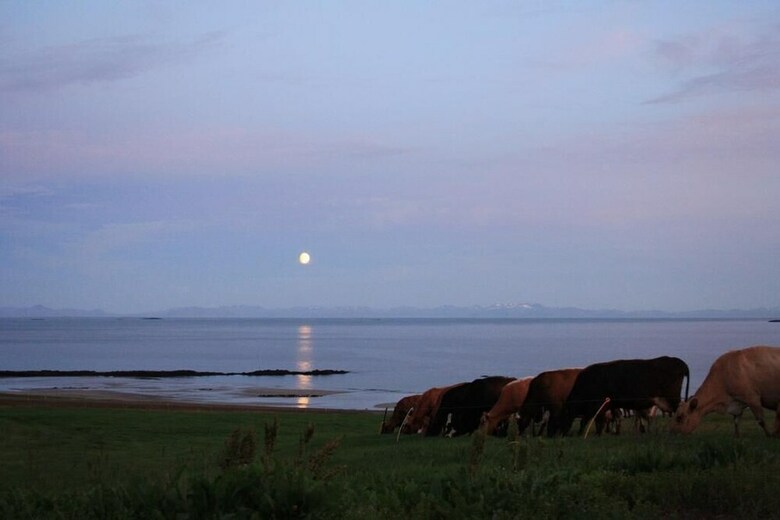 Agroturismo Rau�sdalur